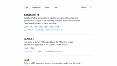 Using Exposed Ollama APIs to Find DeepSeek Models