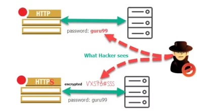 SSL Pinning Bypass with Frida and effective Mitigation techniques