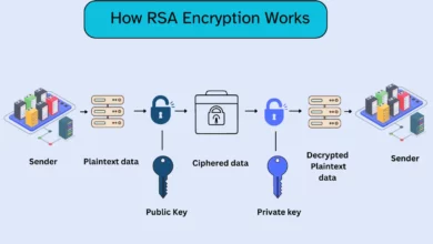 Enduring Power of RSA Encryption in Securing Network Communications