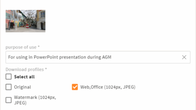 In search of a perfect enterprise Digital Asset Management system – Part 4 – Enterprise Digital Asset Management (DAM)