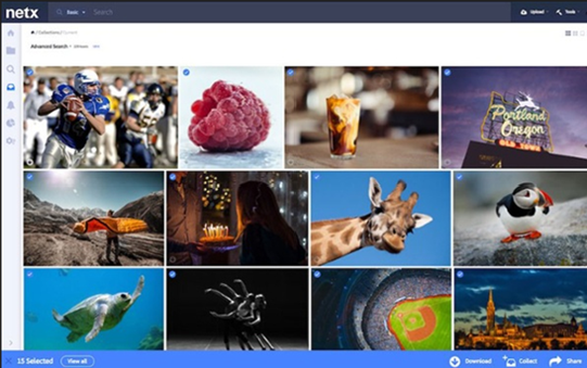 Launch of new Digital Asset Management (DAM) system – NetX – Enterprise Digital Asset Management (DAM) Launch of new Digital Asset Management (DAM) system – NetX – Enterprise Digital Asset Management (DAM)