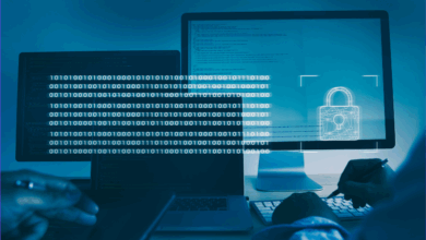 Black-Box vs White-Box Penetration Testing Explained
