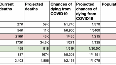 The Math of COVID19