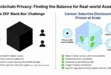 Why Institutions Need More Than Zero Knowledge