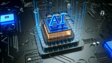 Sharing Information with AI and Understanding the Risks